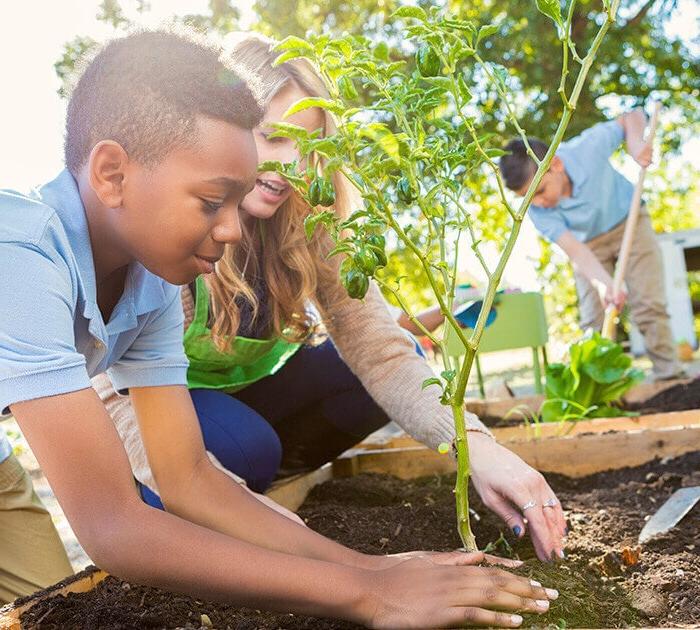 Elementary online students plant a garden in their community - Connections Academy